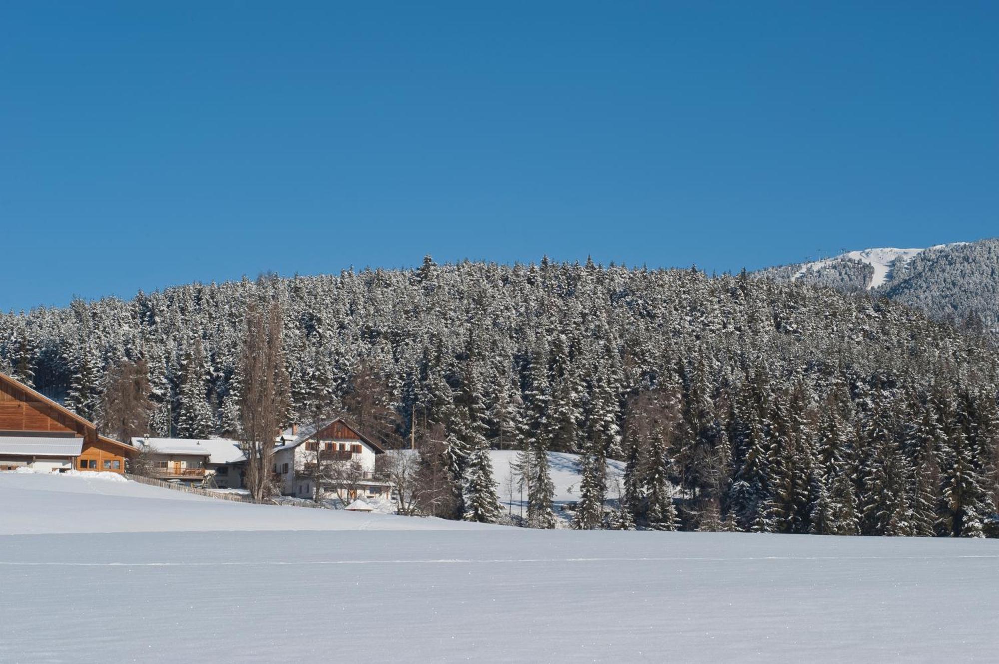 Unterpfaffstall-Hof Collalbo Exterior photo