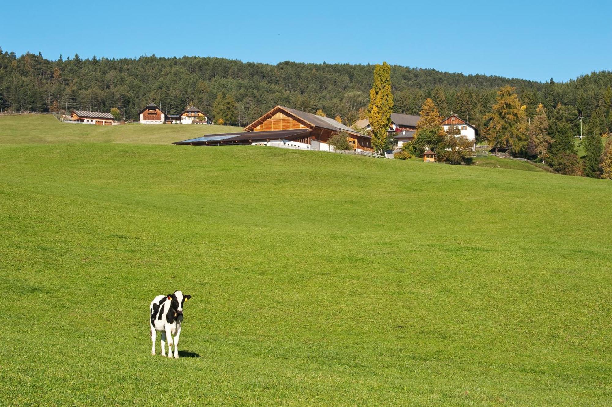 Unterpfaffstall-Hof Collalbo Exterior photo